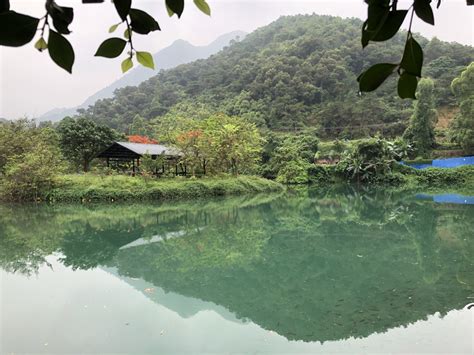 肇慶紫雲谷|【2024肇慶景點】紫雲谷旅遊攻略（於10月更新）